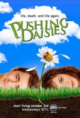  Pushing Daisies – En ljuvlig serie om död, kärlek och en touch av magik!