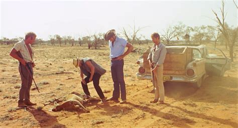 Wake In Fright - En Dyster Skildring av Människans Mörka Sida i den Austrauliska Öknen!